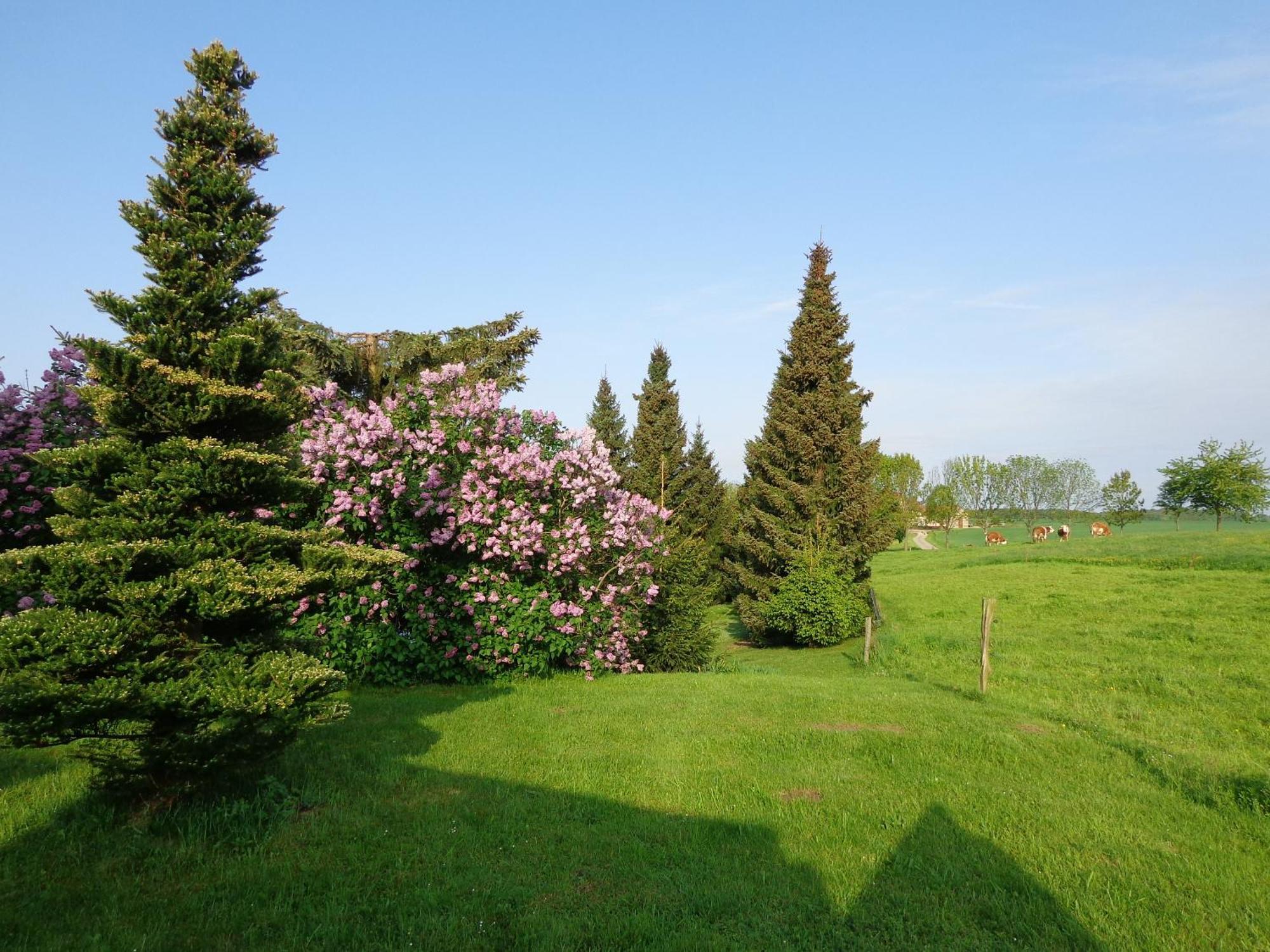 Pension Sonnenhuegel Markersdorf Exteriör bild