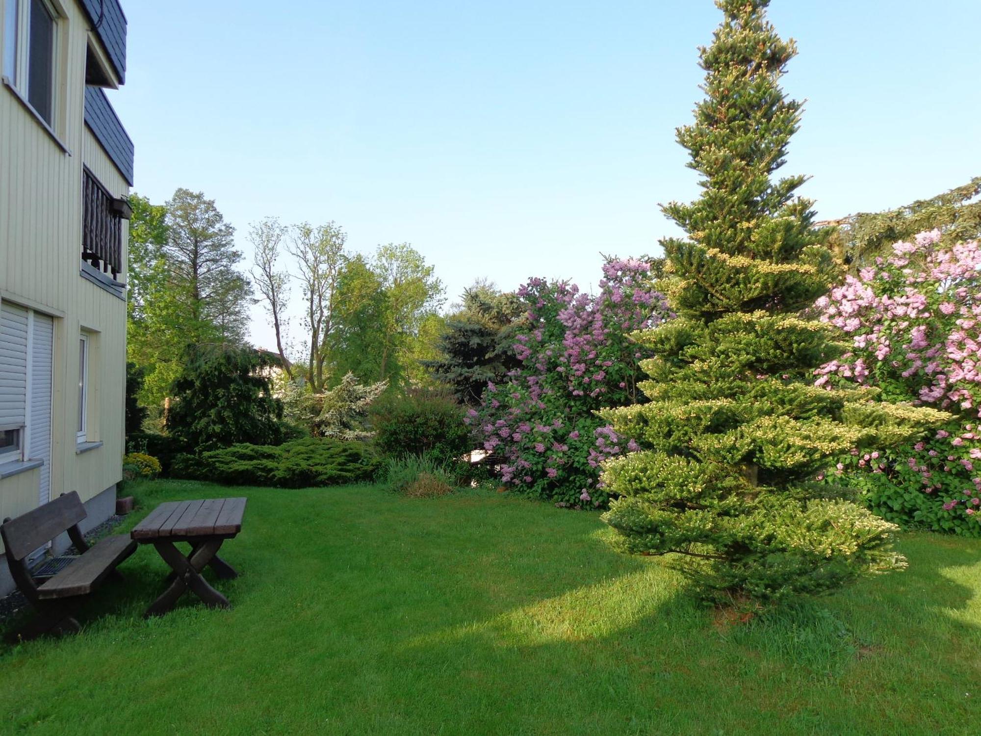 Pension Sonnenhuegel Markersdorf Exteriör bild